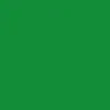CCS Clear Skateboard Tool - Green