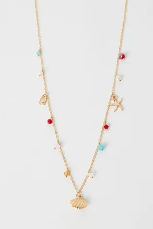 Multi Shell and Starfish Belly Chain