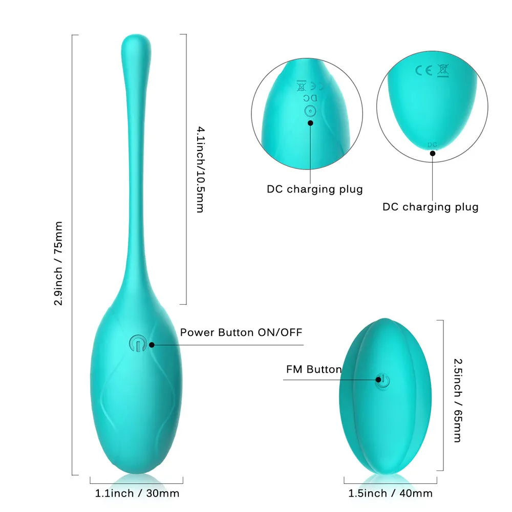 Winyi Kitty Remote Control Vibrating Kegel Egg